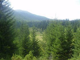 Raduša (mountain) httpsuploadwikimediaorgwikipediacommonsthu