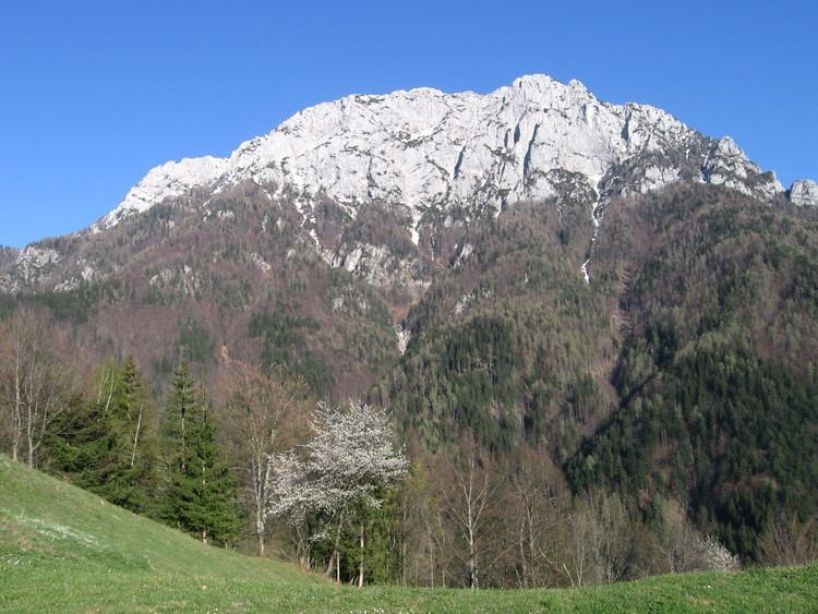 Raduha (mountain) httpsuploadwikimediaorgwikipediacommons11