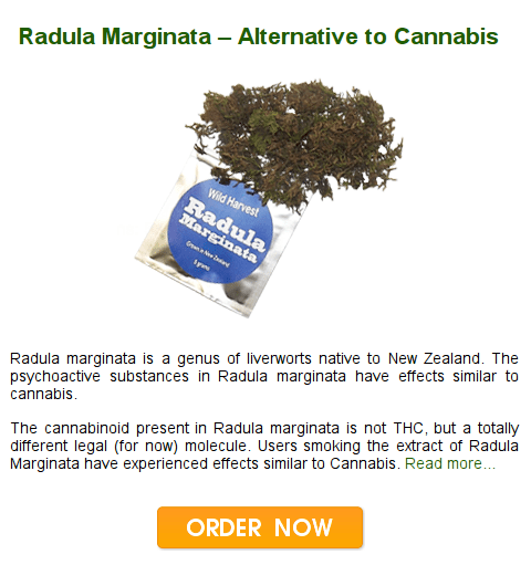 Radula marginata Radula marginata afforded a new ltbgtcannabinoidltbgt Herbal Smoking