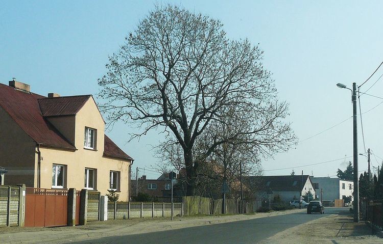 Radzewo, Greater Poland Voivodeship