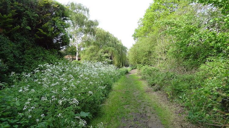 Raeburn Open Space