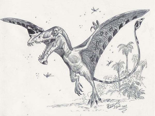 Raeticodactylus The pterosaur Raeticodactylus filisurensis Dinosaurs