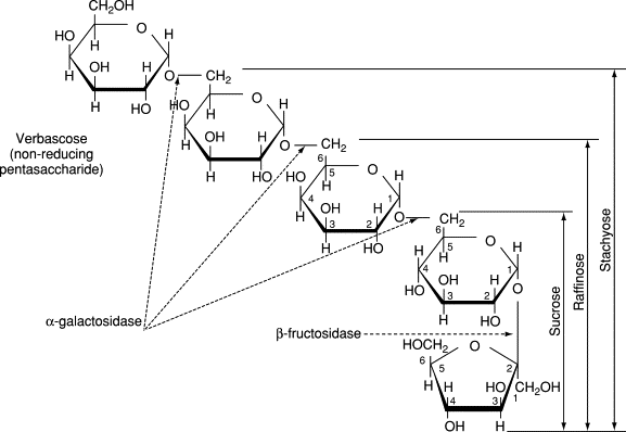 O-α-d-Galactopyranosyl-(1→6)-[O-α-d-galactopyranosyl-(1→6)]2-O-α-d-glucopyranosyl-(1→2) β-d-frutofuranoside. Arrows indicate the points of hydrolysis by enzymes.