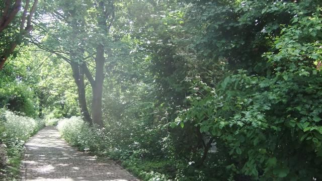 Railway Fields Railway Fields Local Nature Reserve Open Space visitlondoncom