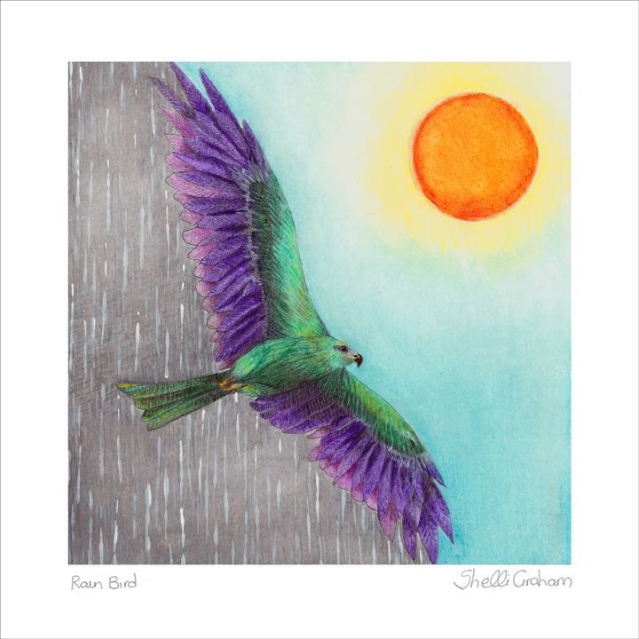 Shelli Graham Illustration — The Rain Bird in Native American legend was a  bird...