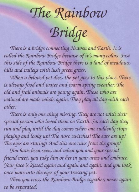 Rainbow Bridge (pets) httpssmediacacheak0pinimgcom736x118763