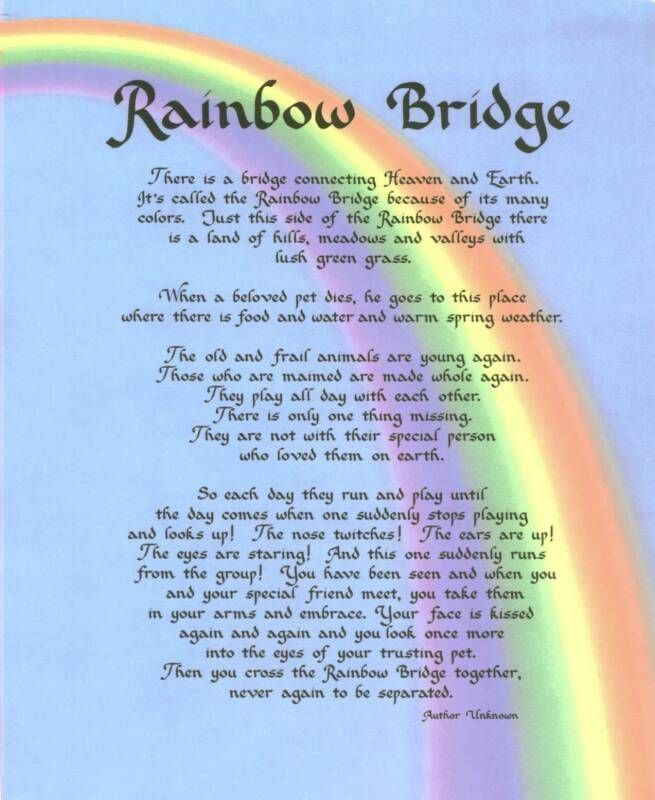 Rainbow Bridge (pets) 1000 images about Rainbow Bridge on Pinterest Pets Rainbow