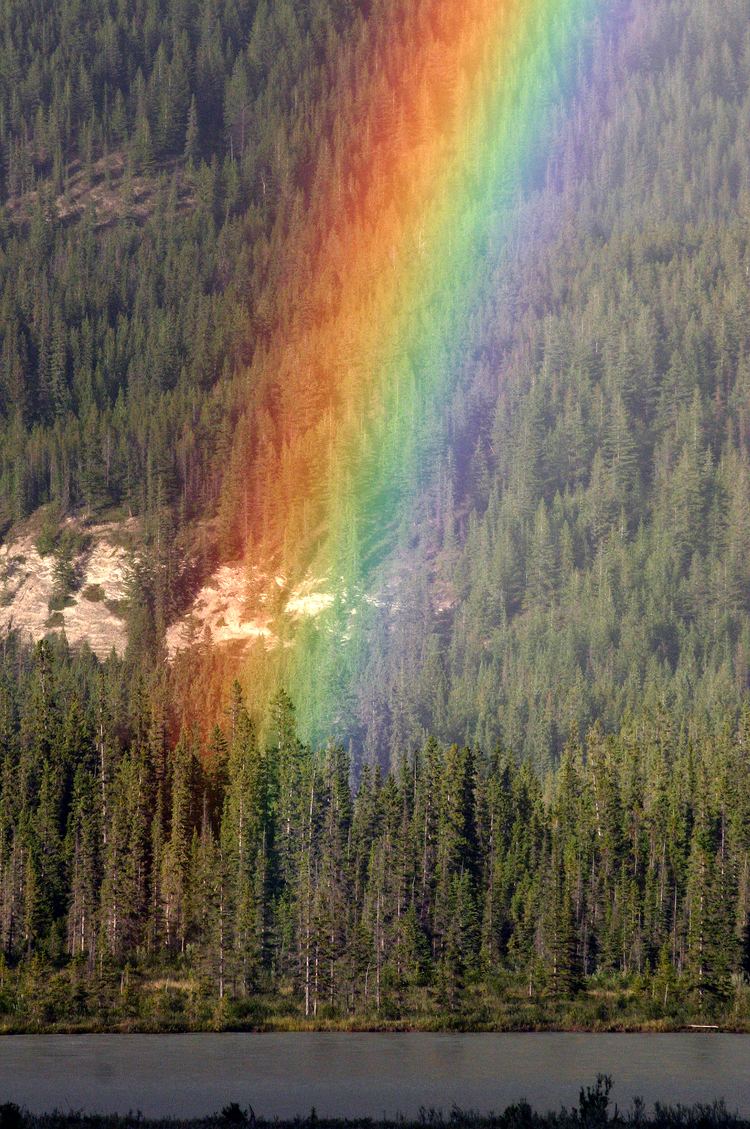 Rainbow Rainbow Wikipedia