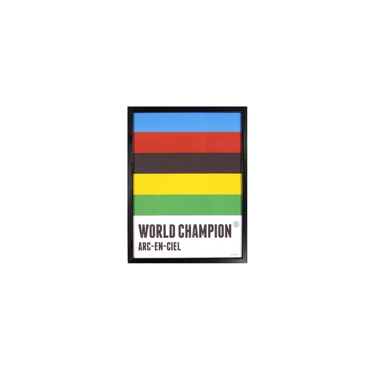 Rainbow jersey World Champion Rainbow Jersey print