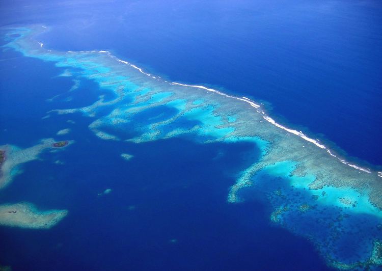 Rainbow Reef The Remote Resort Fiji39s Best Luxury Honeymoon Resort Rainbow