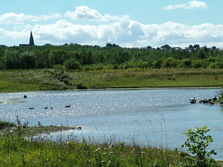 Rainton Meadows uploadwikimediaorgwikipediacommonsaa8Rainto