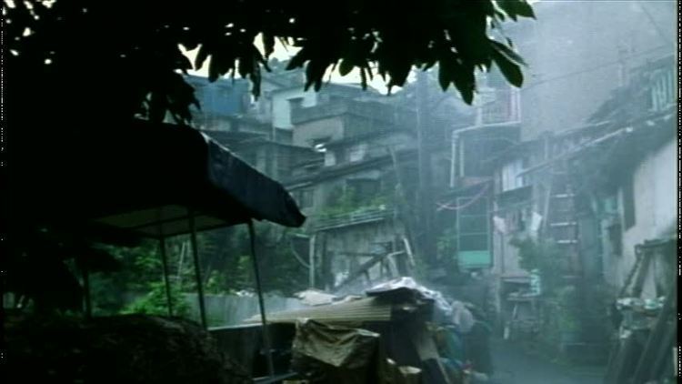 Rainy Dog FILM Rainy Dog Gokud kuroshakai The House of Two Bows