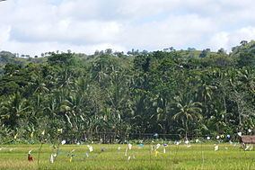 Rajah Sikatuna Protected Landscape httpsuploadwikimediaorgwikipediacommonsthu