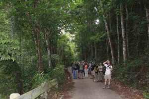 Rajah Sikatuna Protected Landscape Rajah Sikatuna Protected Landscape National Park Forest Sierra