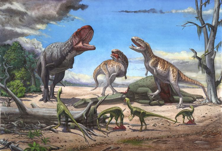 Rajasaurus Rajasaurus Facts and Pictures