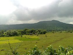 Rajmahal hills httpsuploadwikimediaorgwikipediacommonsthu