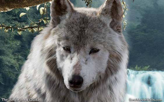 Raksha The Jungle Book Alchetron The Free Social Encyclopedia