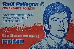 Raúl Pellegrin httpsuploadwikimediaorgwikipediacommonsthu