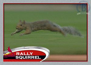 Rally Squirrel Nutty question Should the rally squirrel get a 2012 Topps baseball