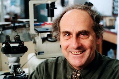 Ralph M. Steinman Ralph M Steinman NobelWinning Immunologist Tablet