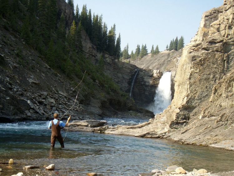 Ram River Moving towards healthy waters in Alberta WWFCanada Blog