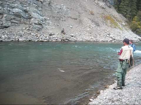 Ram River Ram River Alberta Fly Fishing Cutthroat Trout YouTube