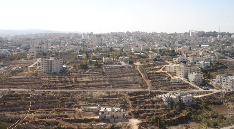 Ramallah Beautiful Landscapes of Ramallah
