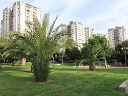 Ramat Aviv httpsuploadwikimediaorgwikipediacommonsthu