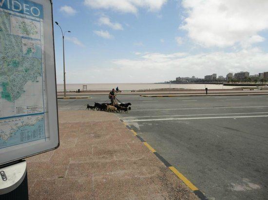 Rambla of Montevideo Rambla de Montevideo Uruguay Top Tips Before You Go TripAdvisor