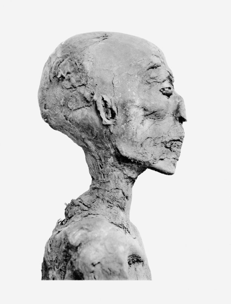 Ramesses IV FileRamses IV mummy headpng Wikimedia Commons