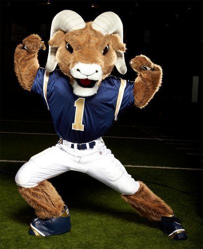 Rampage (mascot) St Louis RamRampage Rams For Life Pinterest Home The o39jays