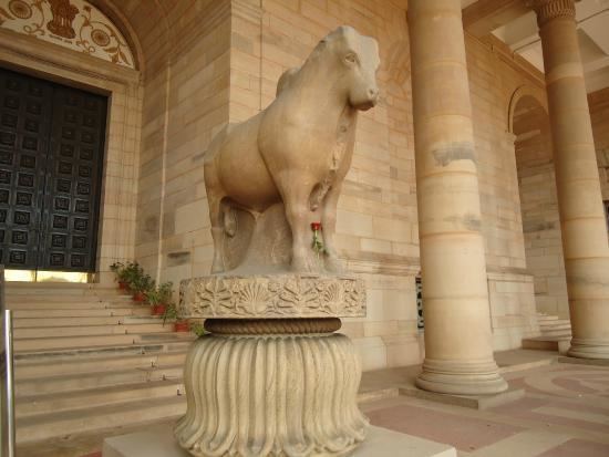 Rampurva The Bull from the Ashokan Pillar at Rampurva Picture of