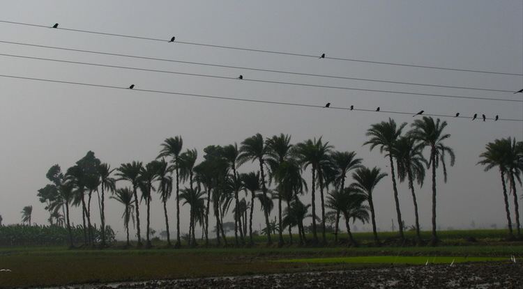 Ranaghat Beautiful Landscapes of Ranaghat