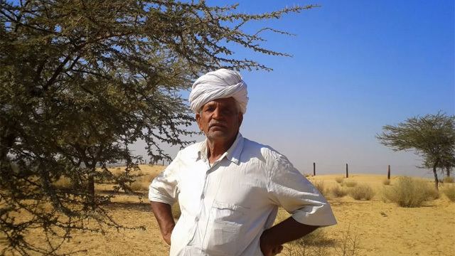 Ranaram Bishnoi Meet Ranaram Bishnoi who planted 27000 trees to stop the desert