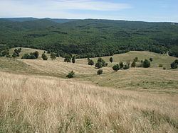 Randolph County, West Virginia httpsuploadwikimediaorgwikipediacommonsthu