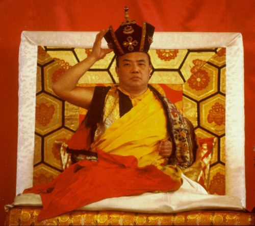 Rangjung Rigpe Dorje, 16th Karmapa HH The 16th Gyalwa Karmapa Rangjung Rigpe Dorje