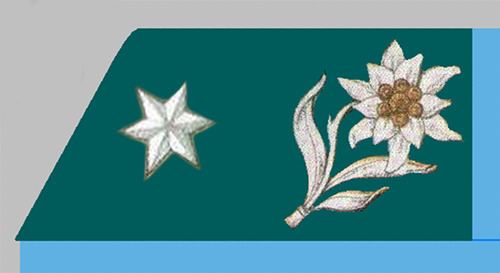 Rank insignia of the Austro-Hungarian armed forces