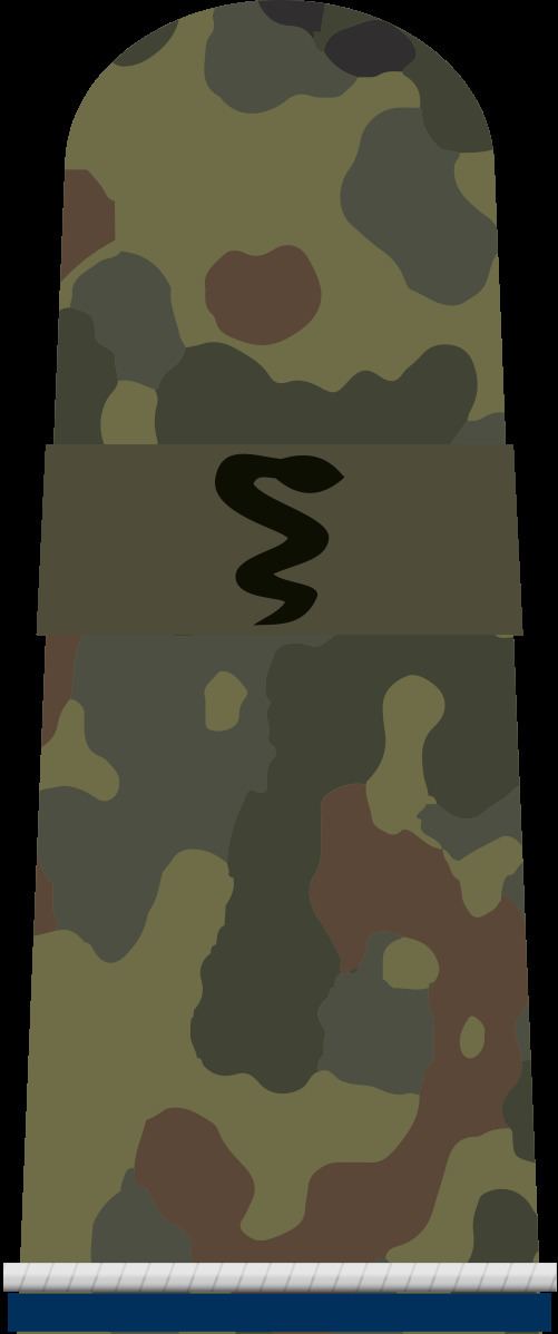 Ranks of the German Bundeswehr