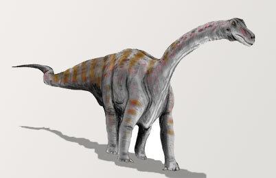 Rapetosaurus Rapetosaurus Dinosaur information facts Dinosaurs discovery