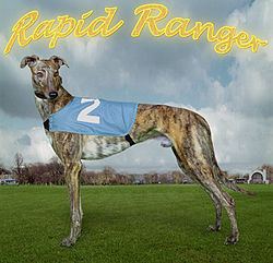 Rapid Ranger httpsuploadwikimediaorgwikipediacommonsthu