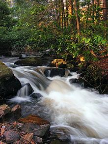 Rapid Run (Buffalo Creek) httpsuploadwikimediaorgwikipediacommonsthu
