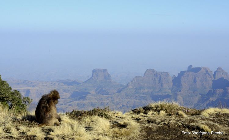 Ras Dashen wwwmountainforecastcomsystemimages16169larg