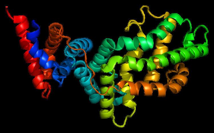 RAS p21 protein activator 1