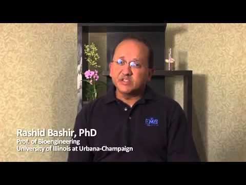 Rashid Bashir Life Sciences Rashid Bashir and using Bio Nanotech to solve medical