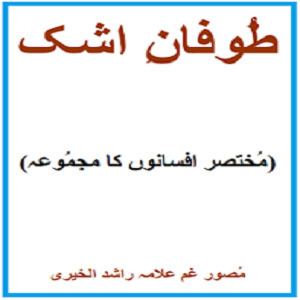 Rashid ul Khairi list of Allama Rashid ul Khairi novels and books