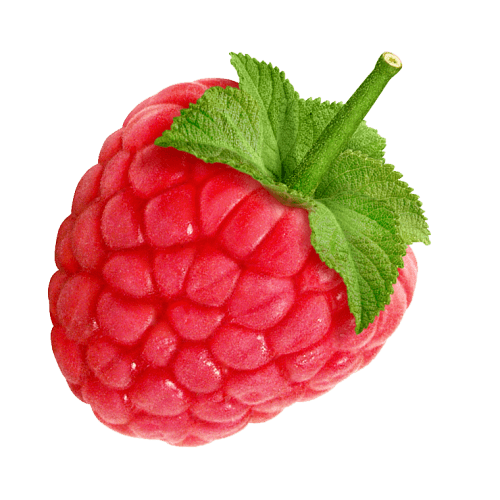 Raspberry Isolated Photos of raspberry Search Keyword of raspberry