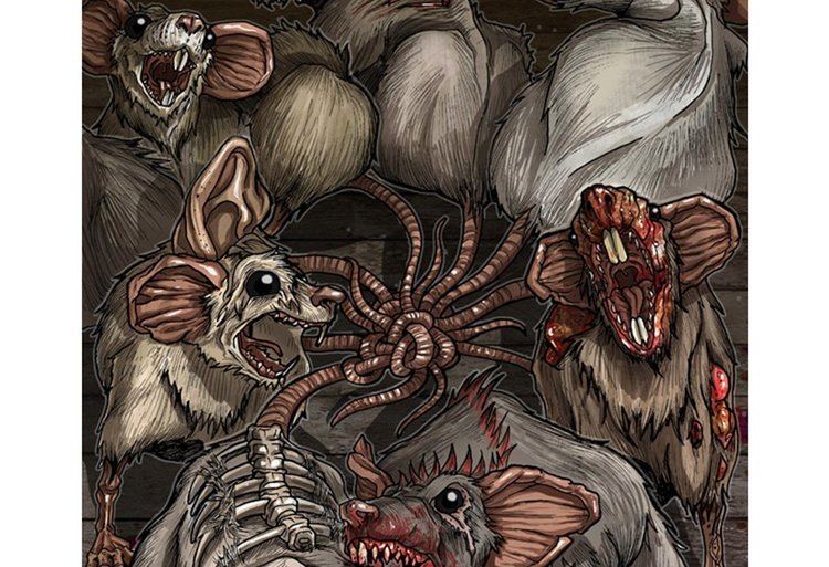 ShukerNature: RAT KINGS – A TANGLED TALE OF TANGLED TAILS