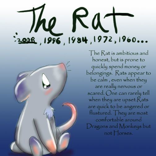 Rat (zodiac) 1000 ideas about Rat Zodiac on Pinterest Chinese zodiac rat