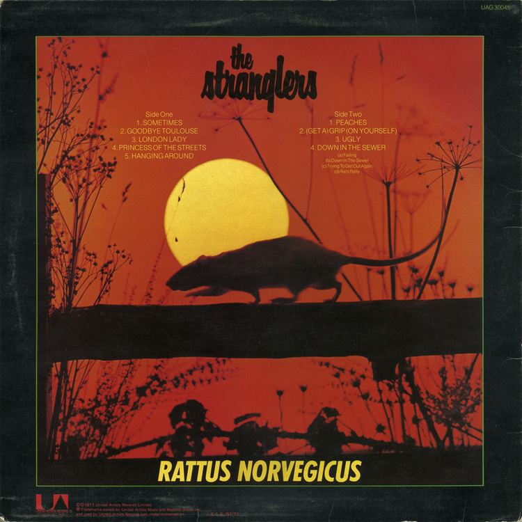 Rattus Norvegicus (album) httpsc1staticflickrcom43417362017405879cb
