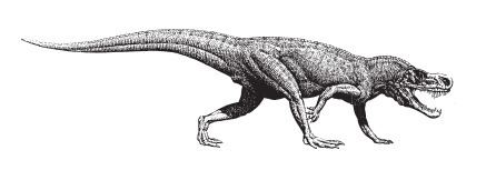 Rauisuchia FileRauisuchia Postosuchus kirkpatrickipng Wikimedia Commons